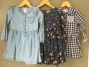 Lot of 3 Girls Dresses 2t 3t Chambray Gingham Floral